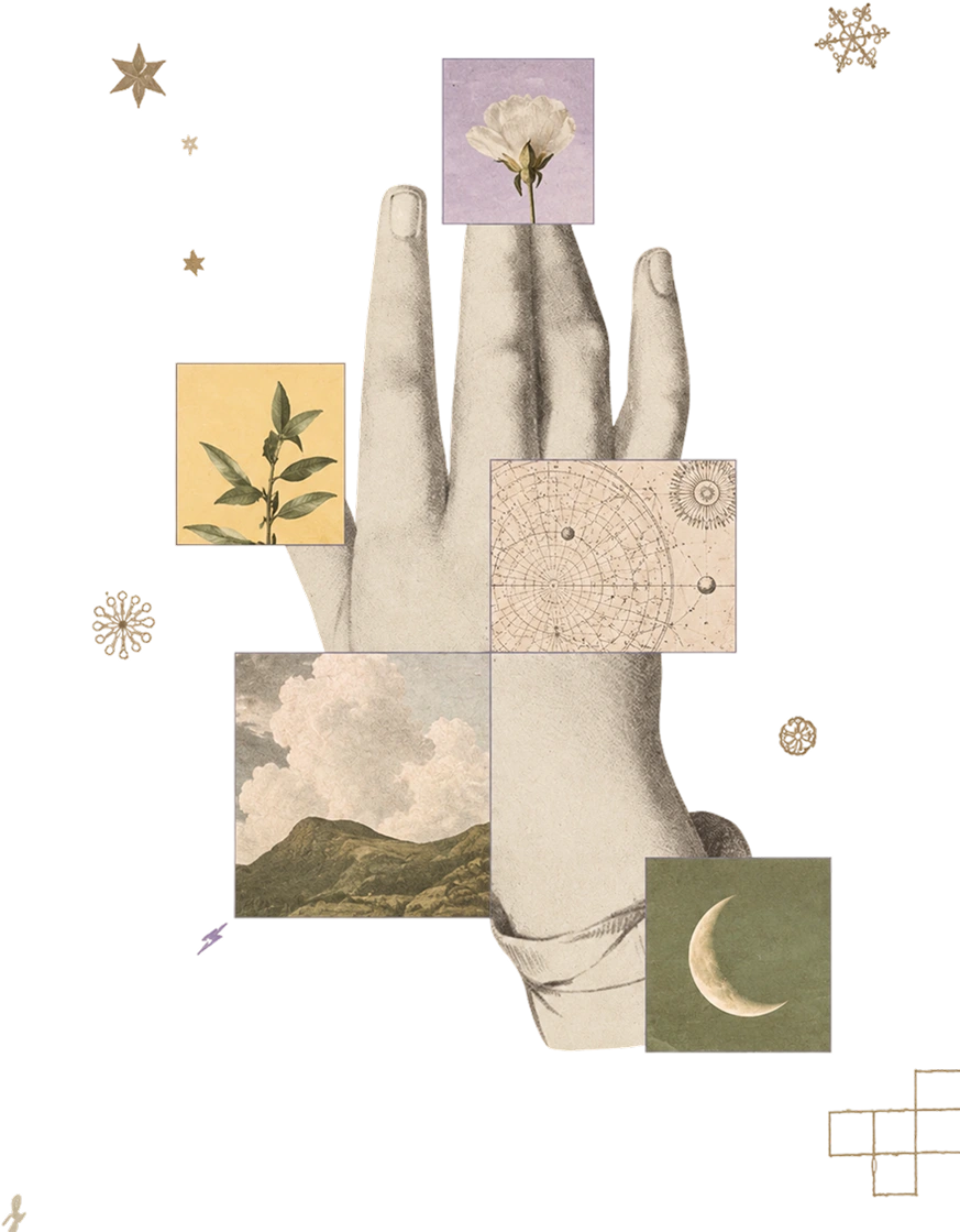 Collage of a hand with botanical prints, a crescent moon and a landscape