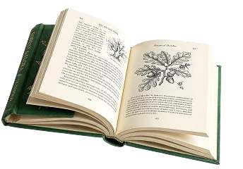 Open book with botanical illustrations