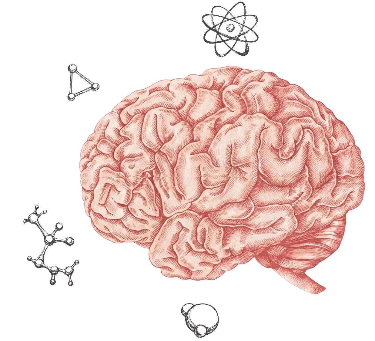 Illustrated human brain with atom and molecule diagrams